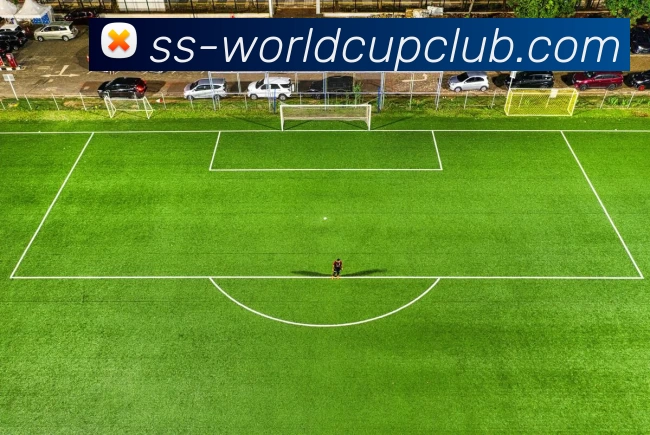 体育赛事信息平台生态图